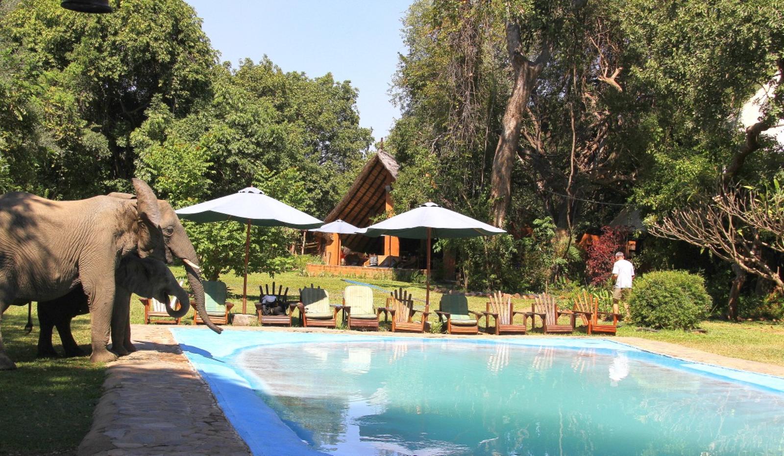 Croc Valley Camp